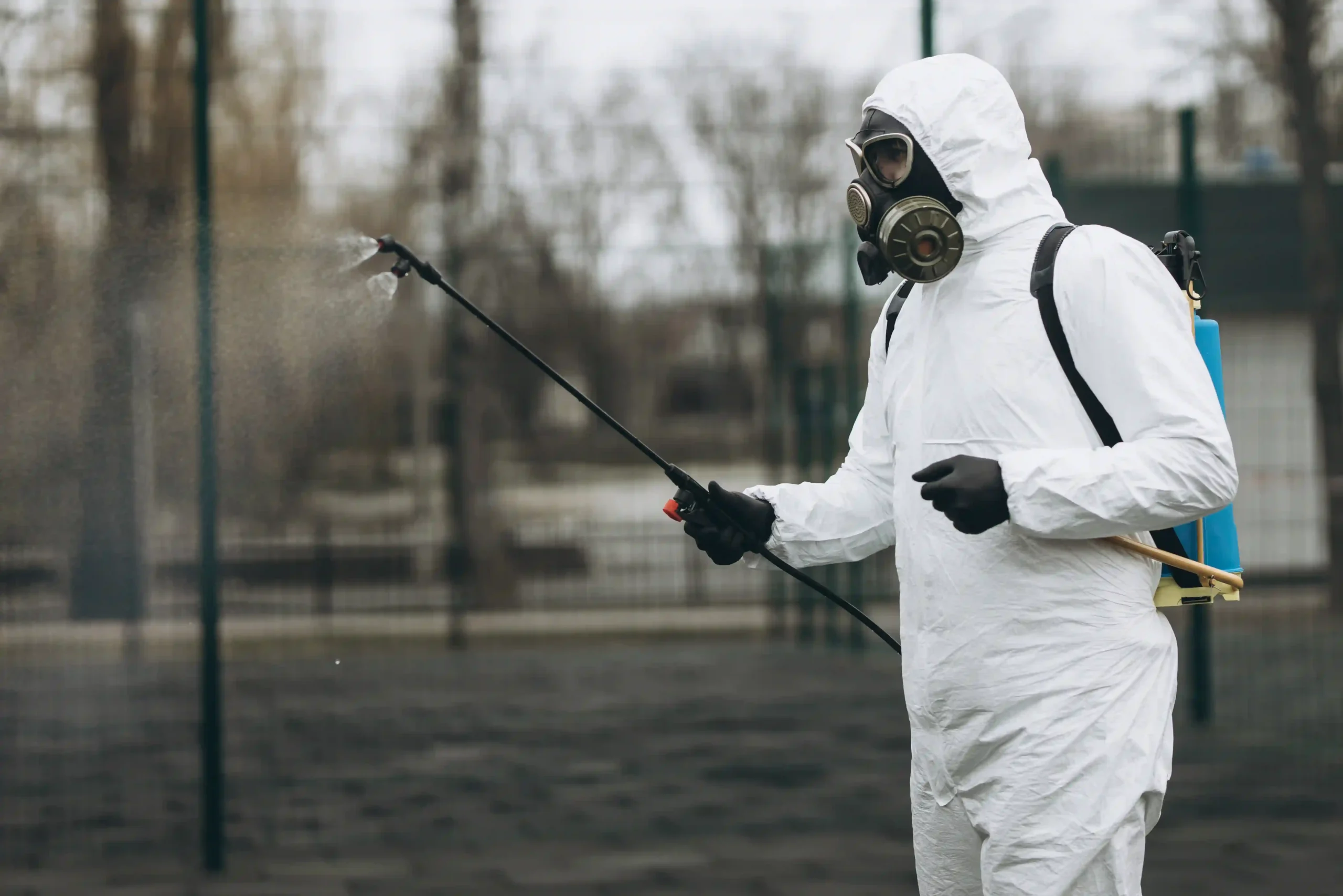 cleaning disinfection town